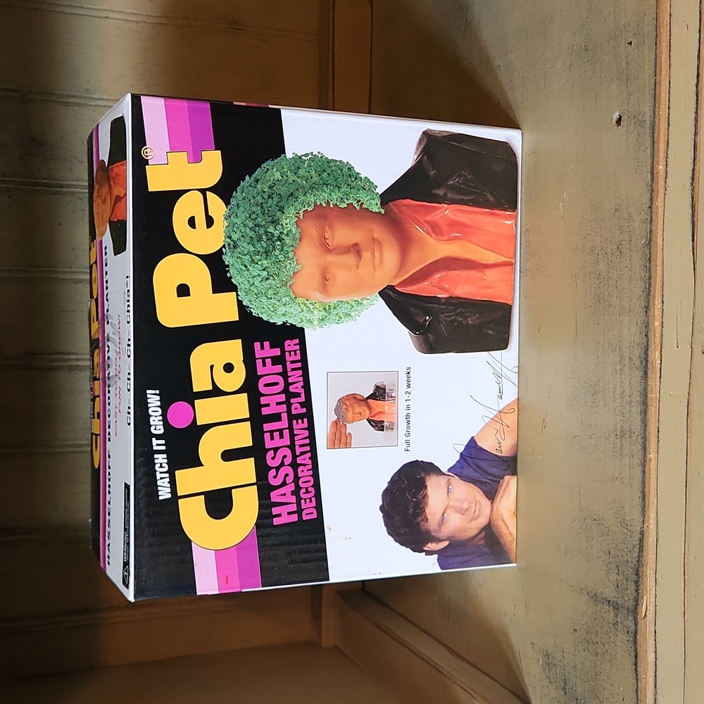 Hasselhoff Chia Pet